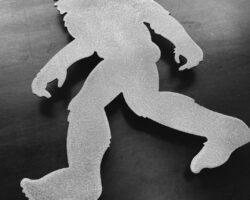 241729205_2055654894602716_1176095774141798590_n