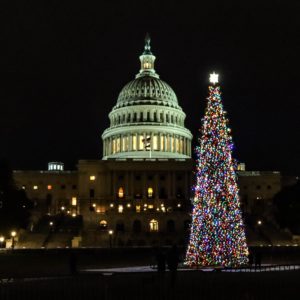 Capitol Christmas Tree 2022 U.s. Capitol Christmas Tree