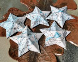 IMG_20220319_115401400_HDR