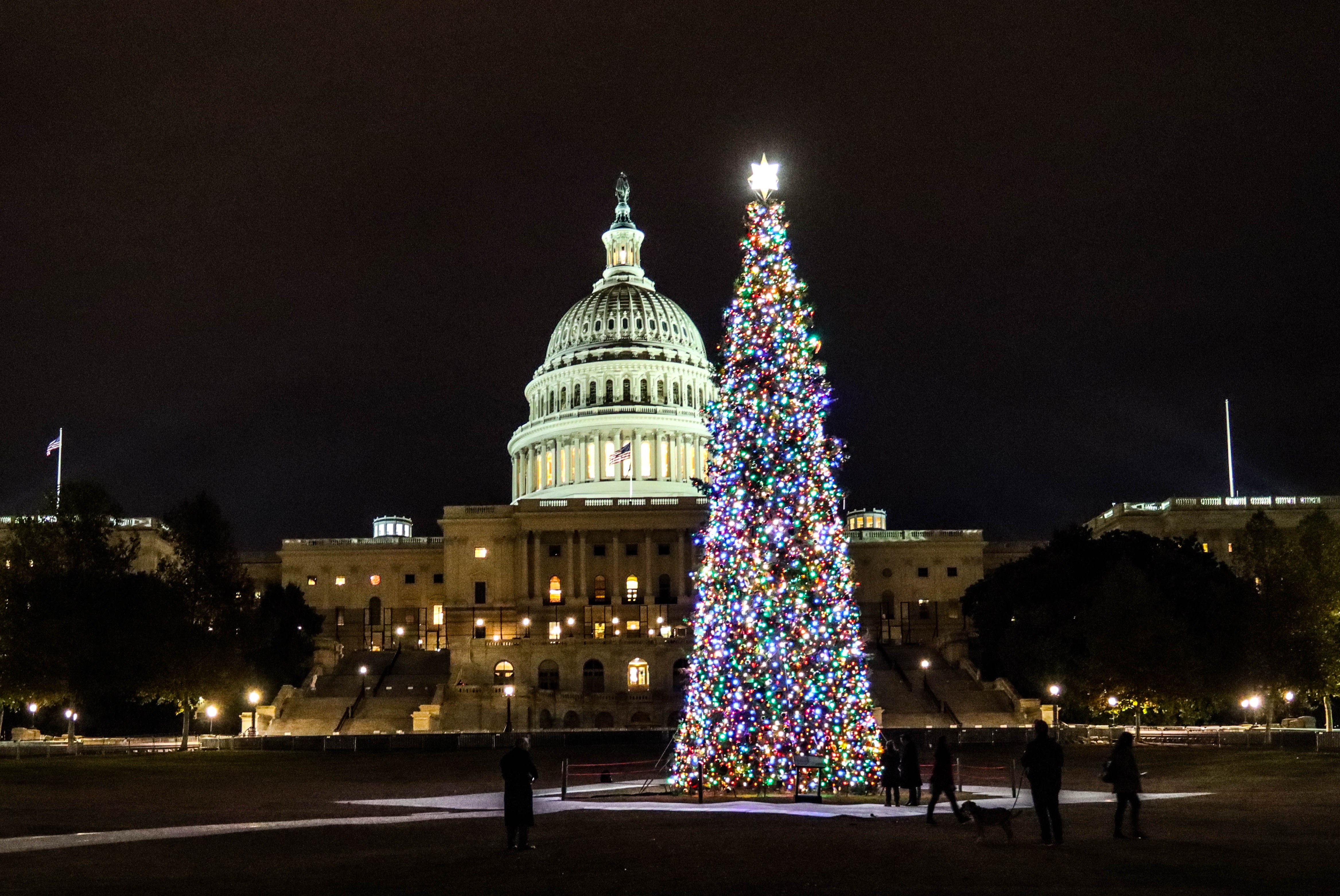 84 Lumber Announces Premier Sponsorship of 2022 U.S. Capitol Christmas Tree