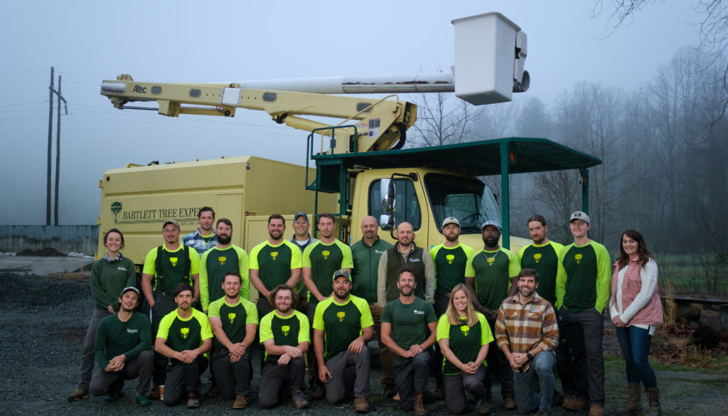 Partner spotlight Bartlett Tree Experts lend expertise to Tree
