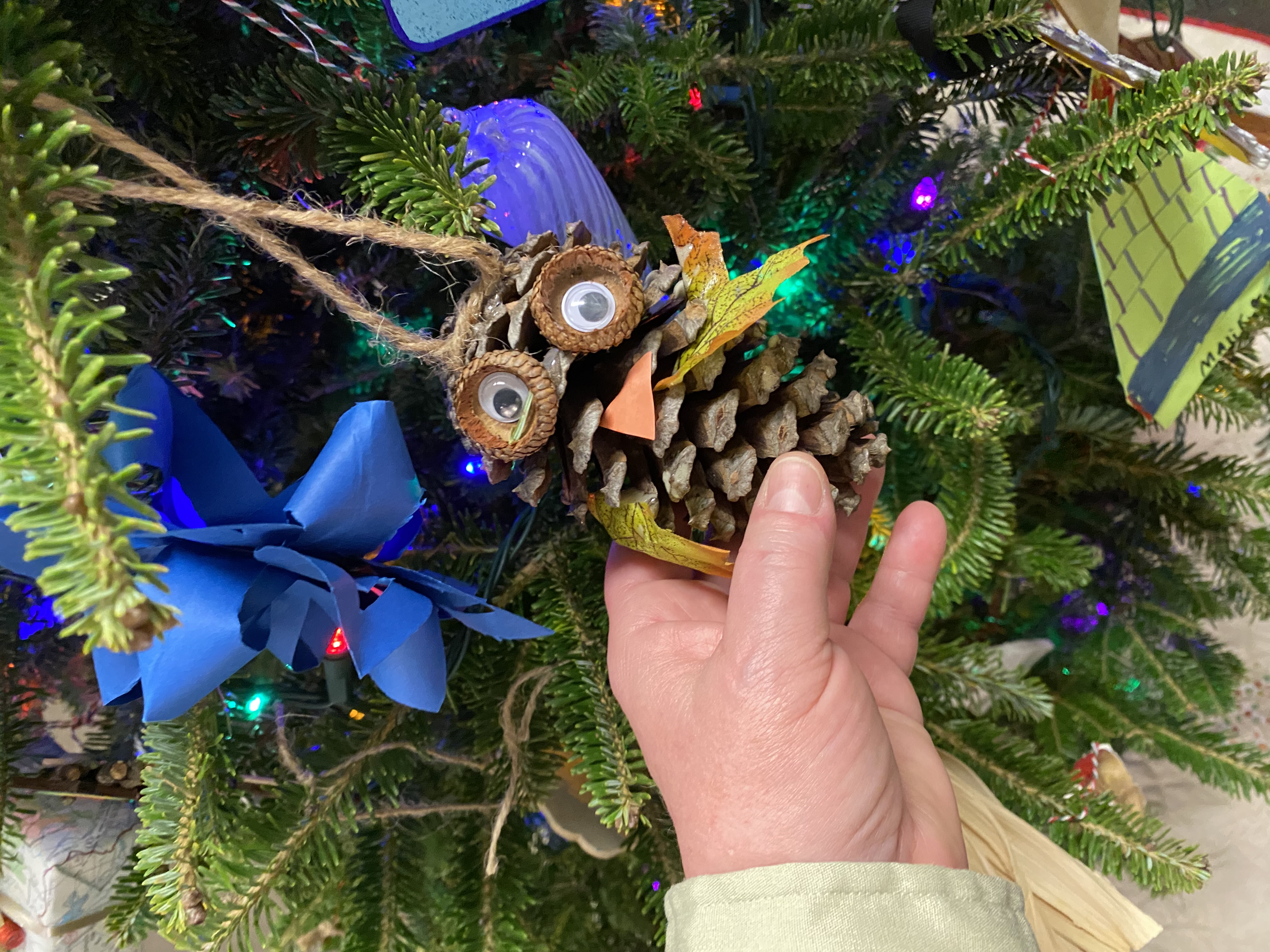 Make an Ornament for 2023 U.S. Capitol Christmas Tree Initiative