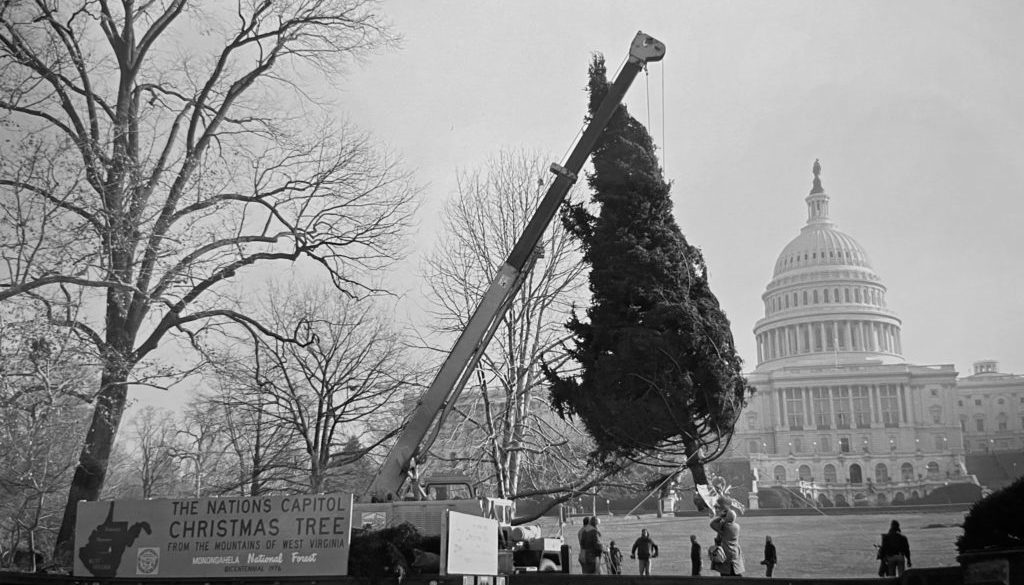 The Bicentennial U.S. Capitol Christmas Tree U.S. Capitol Christmas Tree