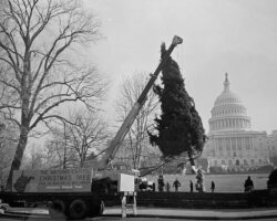 329966531_511924447802527_3079366818269118764_n