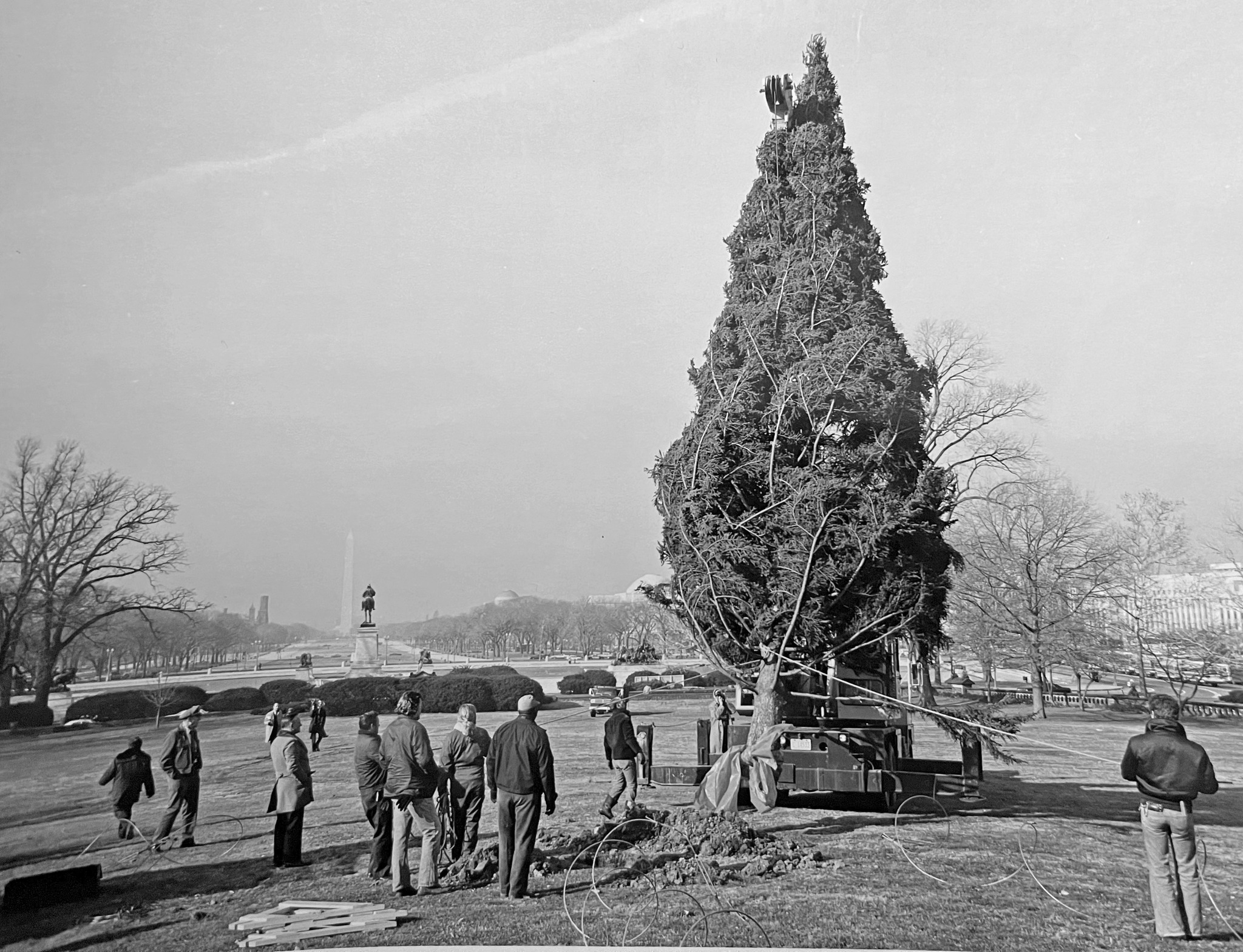 The Bicentennial U.S. Capitol Christmas Tree U.S. Capitol Christmas Tree
