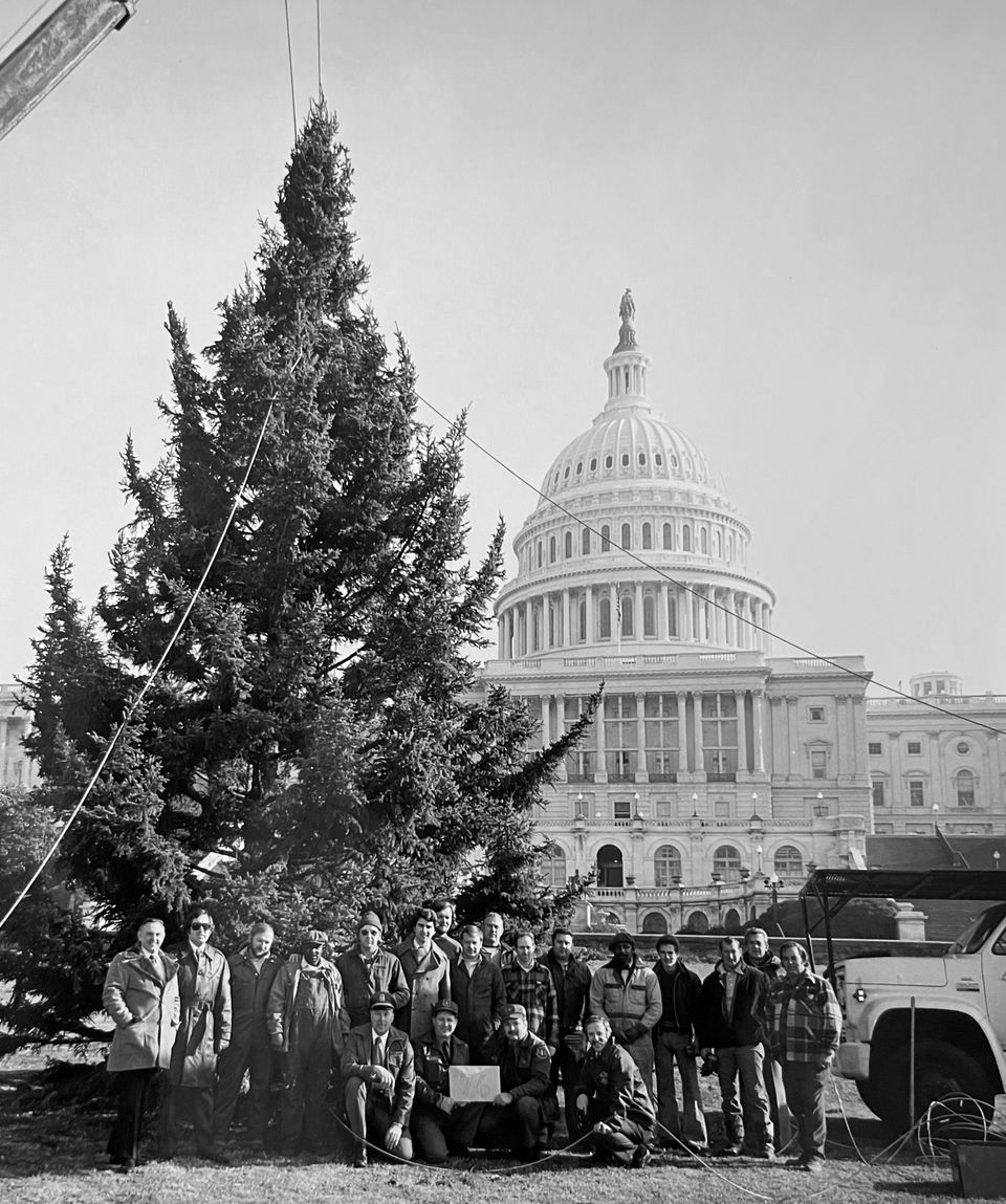The Bicentennial U.S. Capitol Christmas Tree U.S. Capitol Christmas Tree