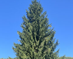 2023USCCT-USDAForestServicephoto