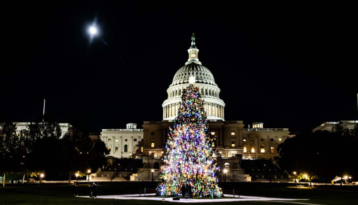 2023 U.S. Capitol Christmas Tree