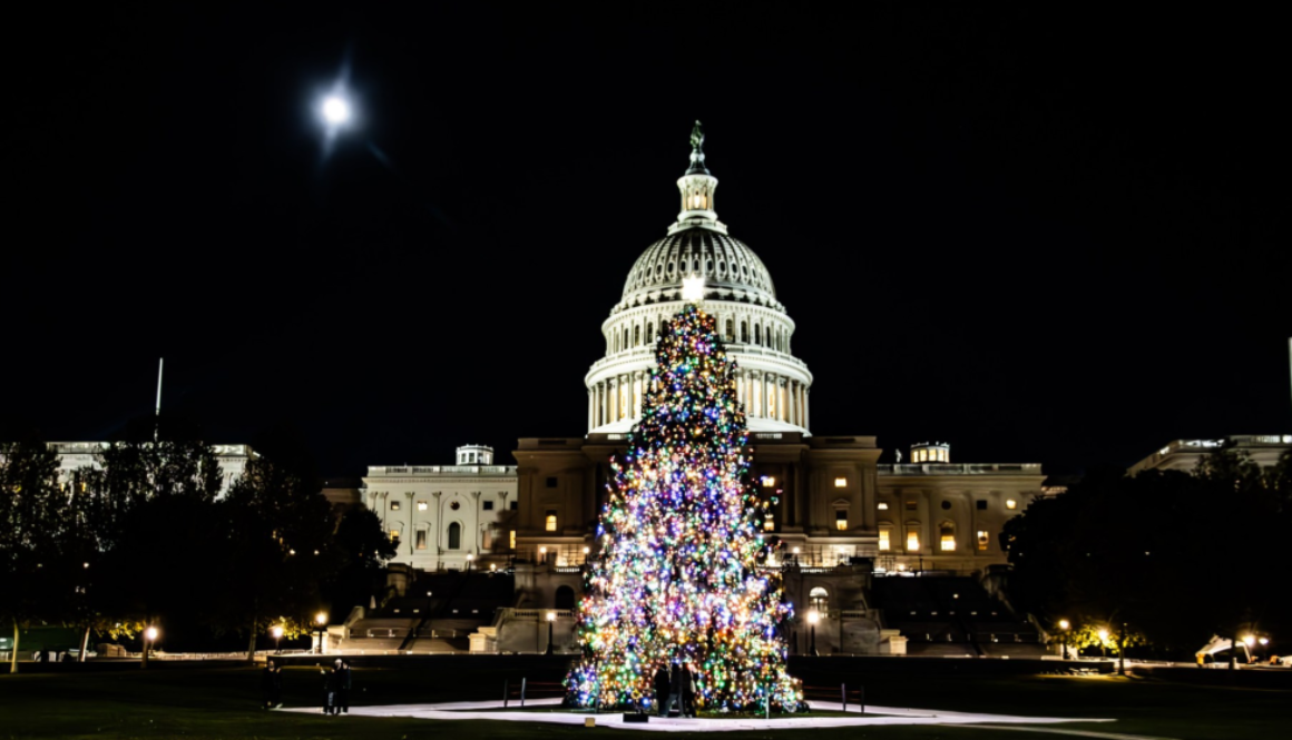 US Capitol Christmas Tree