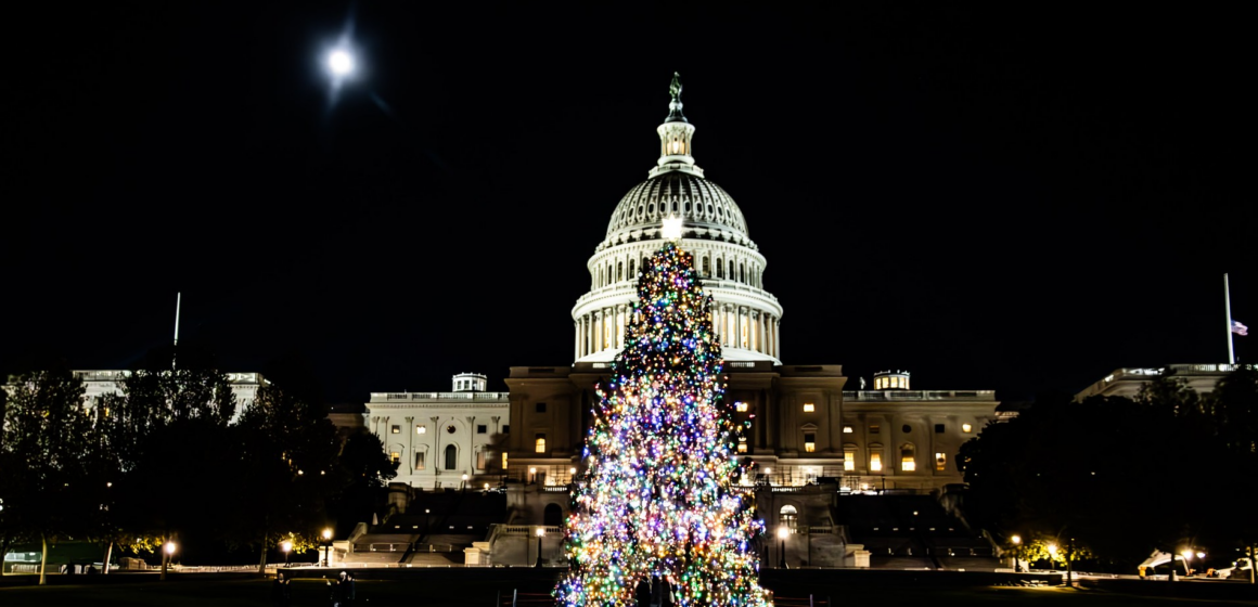 US Capitol Christmas Tree
