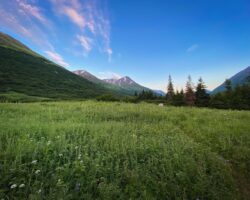 52502221187_07e3e00e3b_o