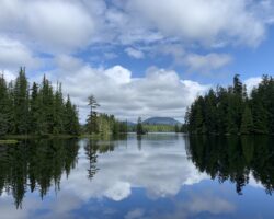 52502983954_f2c339d7f7_k