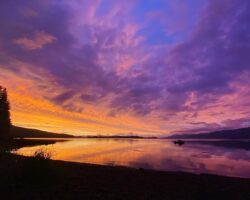 52502988674_c088144279_h