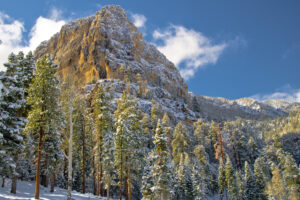 SCENIC_HTF_SMNRA_Cathedrial Rock Snow 1