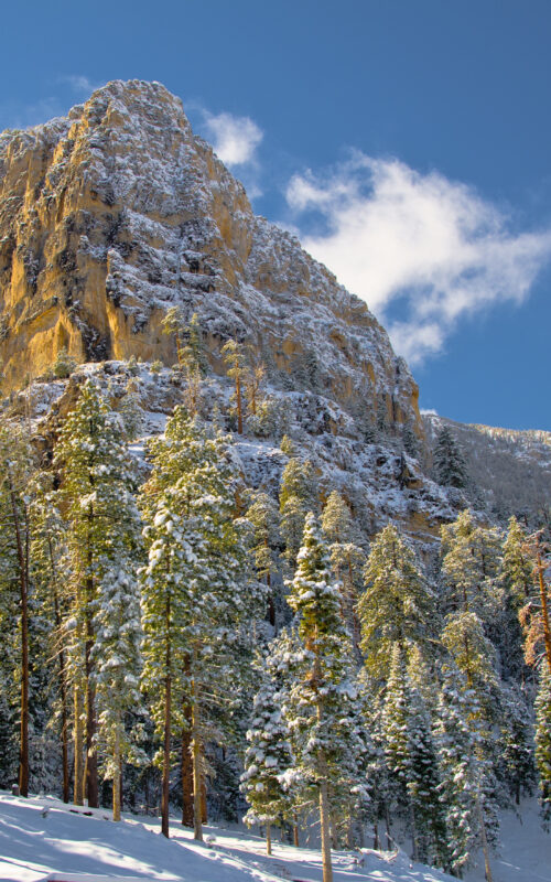 SCENIC_HTF_SMNRA_Cathedrial Rock Snow 1 SCENIC_HTF_SMNRA_Cathedrial Rock Snow 1