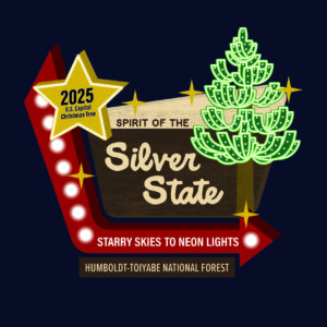 Capitol Tree Logo (002) Capitol Tree Logo (002)