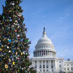 United States Capitol Building in Washington, DC,with festive, decorated Christmas Tree on a sunny Day with blue Sky