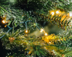 christmas tree on black background