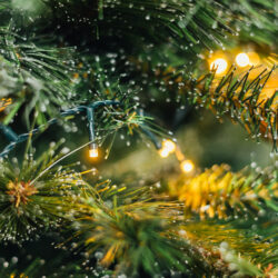 christmas tree on black background