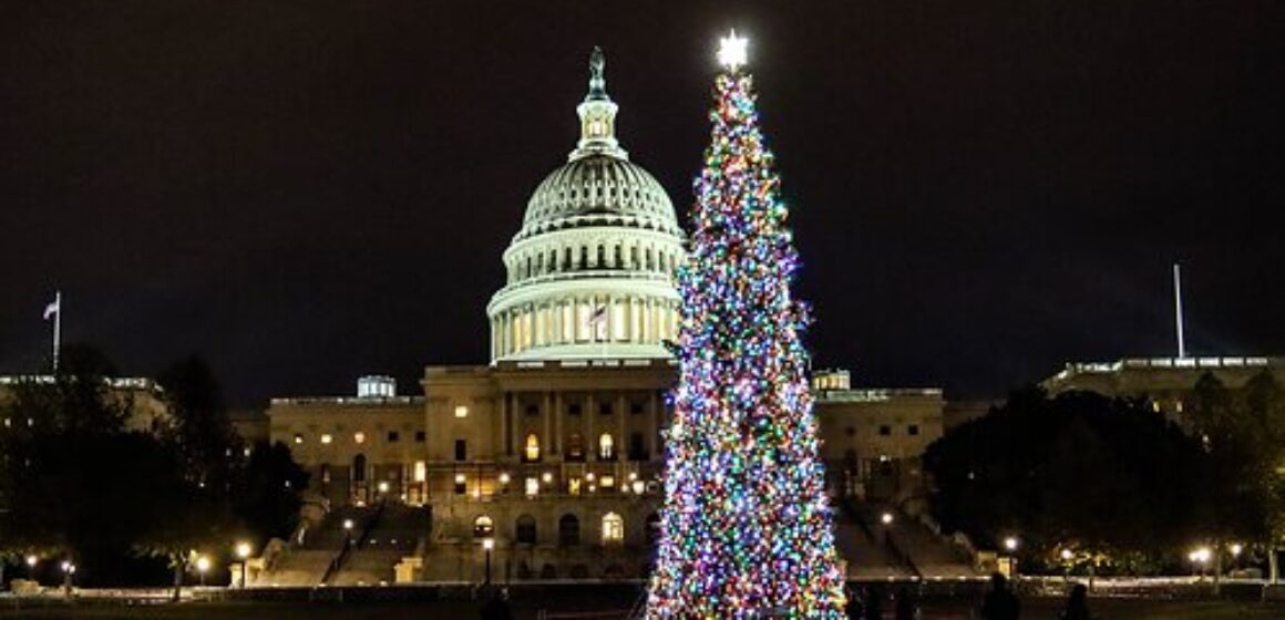 Arrow-Tool-Group-US-Capitol-Christmas-Tree