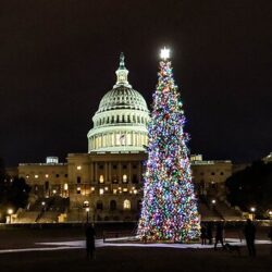 Arrow-Tool-Group-US-Capitol-Christmas-Tree